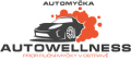 auto wellness auto wellness