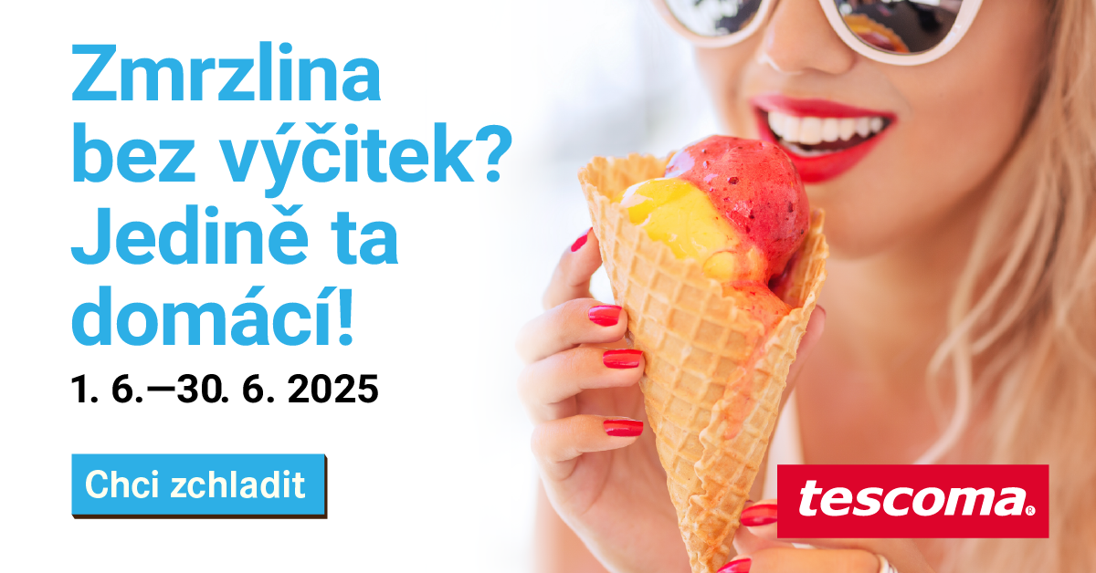 Domácí zmrzlina